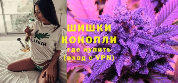 гашик Нея