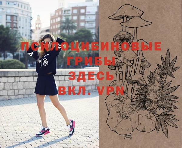 твердый Новодвинск