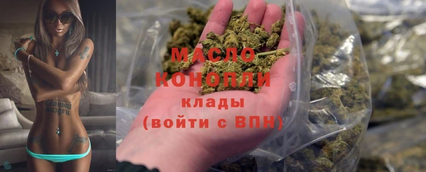 твердый Новодвинск