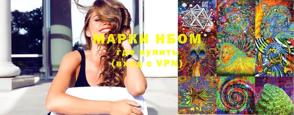 твердый Новодвинск