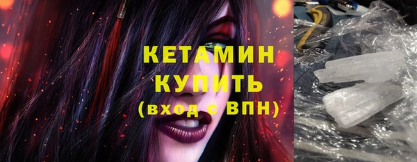 стаф Новозыбков