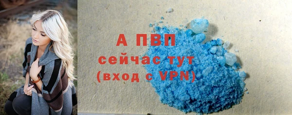 стаф Новозыбков