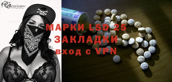стаф Новозыбков