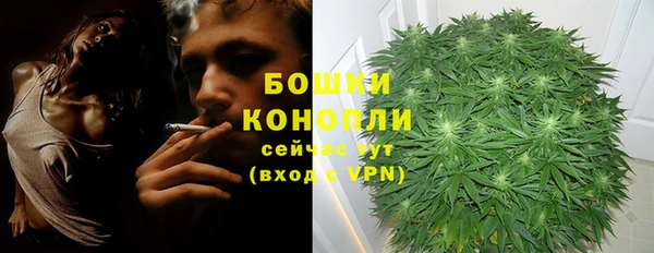 стаф Новозыбков