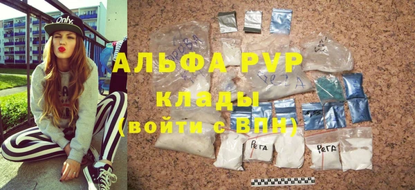 стаф Новозыбков