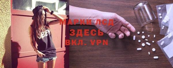 стаф Новозыбков