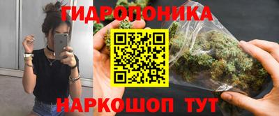 дживик Гай