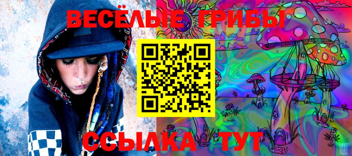 Галлюциногенные грибы MAGIC MUSHROOMS Новозыбков