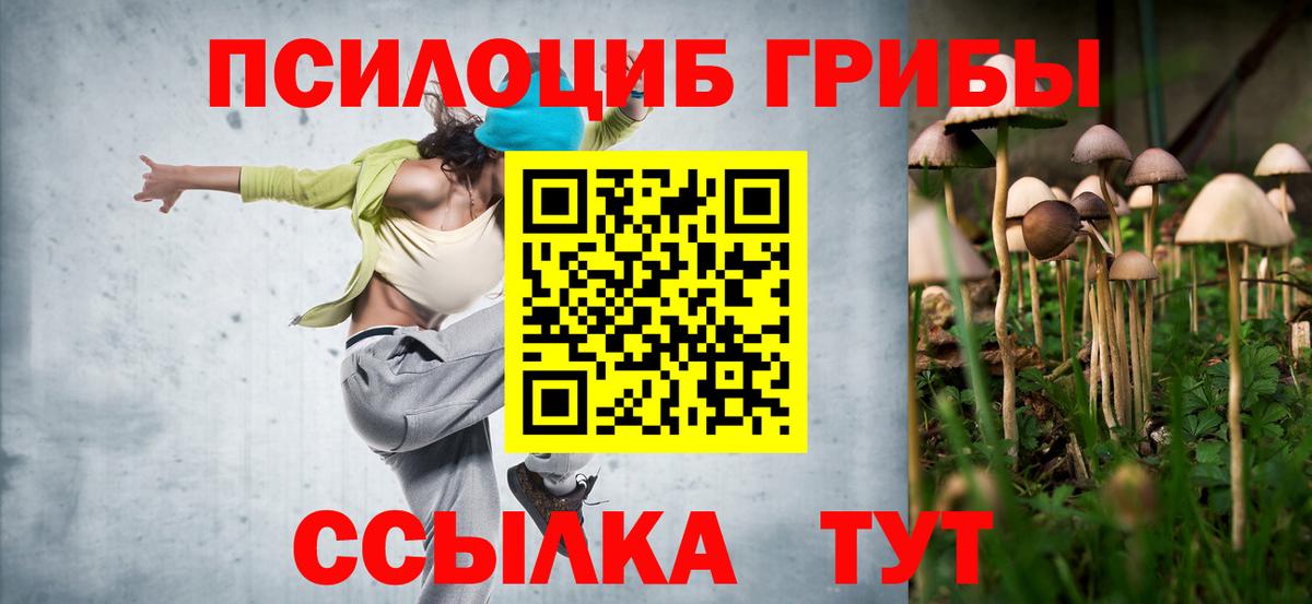 Псилоцибиновые грибы мицелий Новозыбков