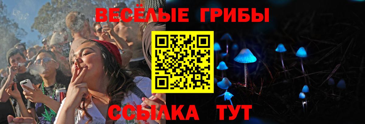 наркотики  Новозыбков  Галлюциногенные грибы ЛСД  Псилоцибиновые грибы ЛСД 