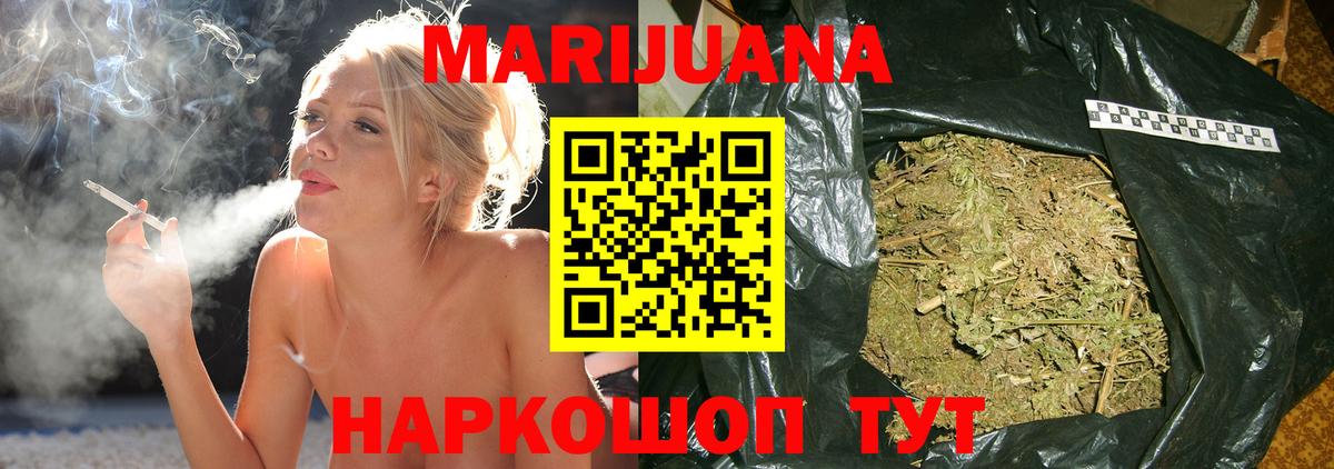 Конопля конопля Новозыбков